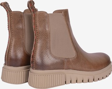 Crickit Chelsea boots in Bruin