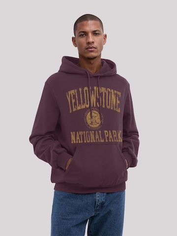 Sweat-shirt 'US National Parks Yellowstone Wyoming' F4NT4STIC en marron : devant
