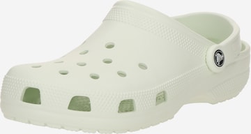 CrocsKlompe 'Classic' - zelena boja: prednji dio