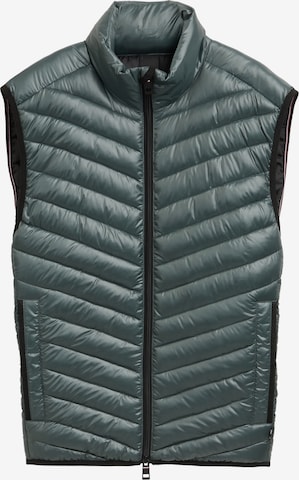 Gilet di TOM TAILOR in verde: frontale