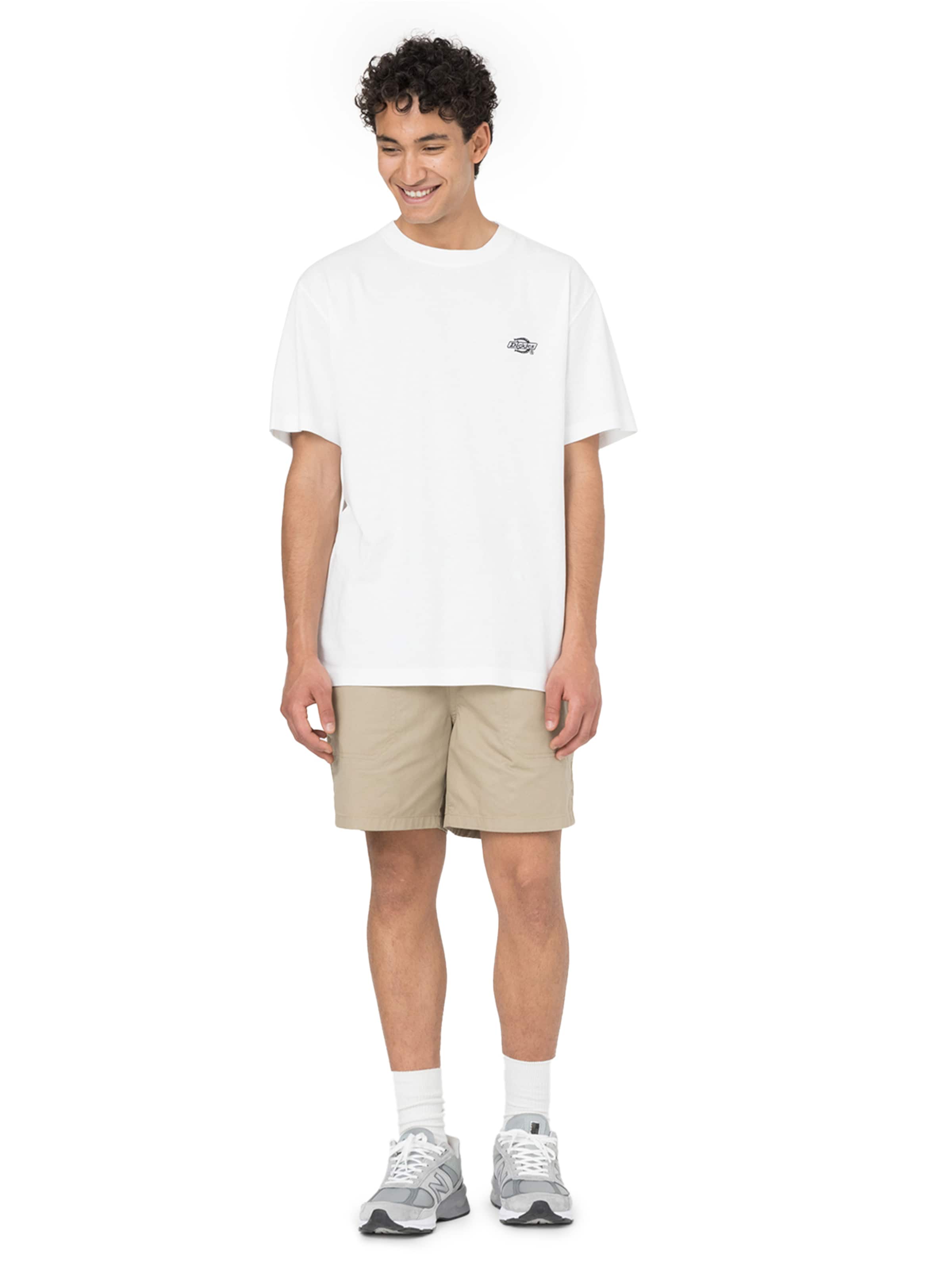 DICKIES tavaline Püksid 'Pelican', värv beež