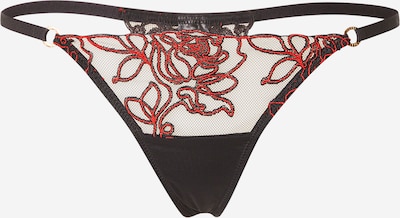 Bluebella Tanga gaćice 'Malina' u boja vina / crna, Pregled proizvoda