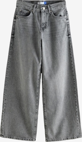 Next Wide leg Τζιν σε γκρι: μπροστά