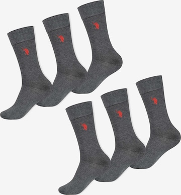 U.S. POLO ASSN. Socken in Grau: Vorderseite