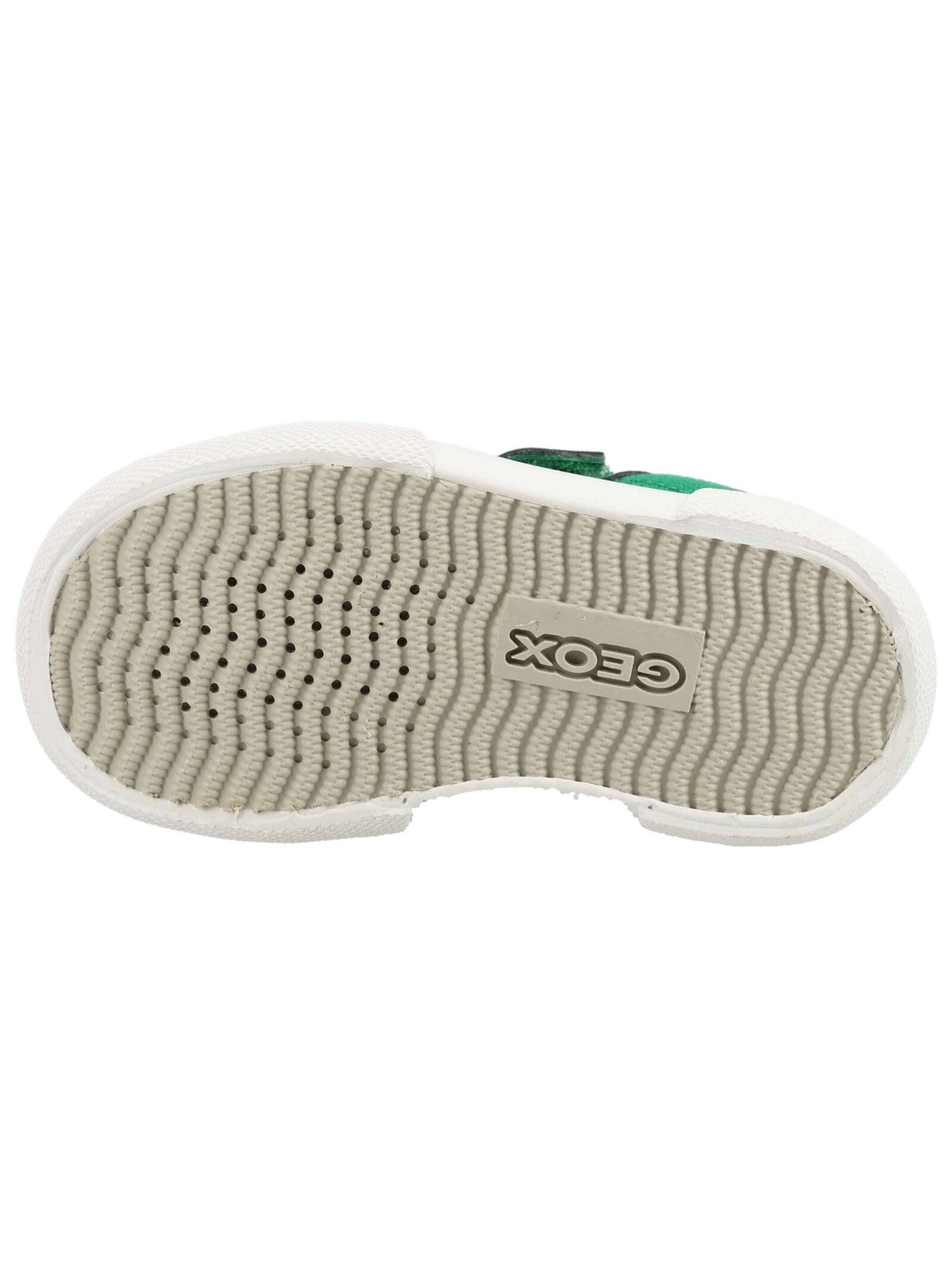 Baskets GEOX en vert