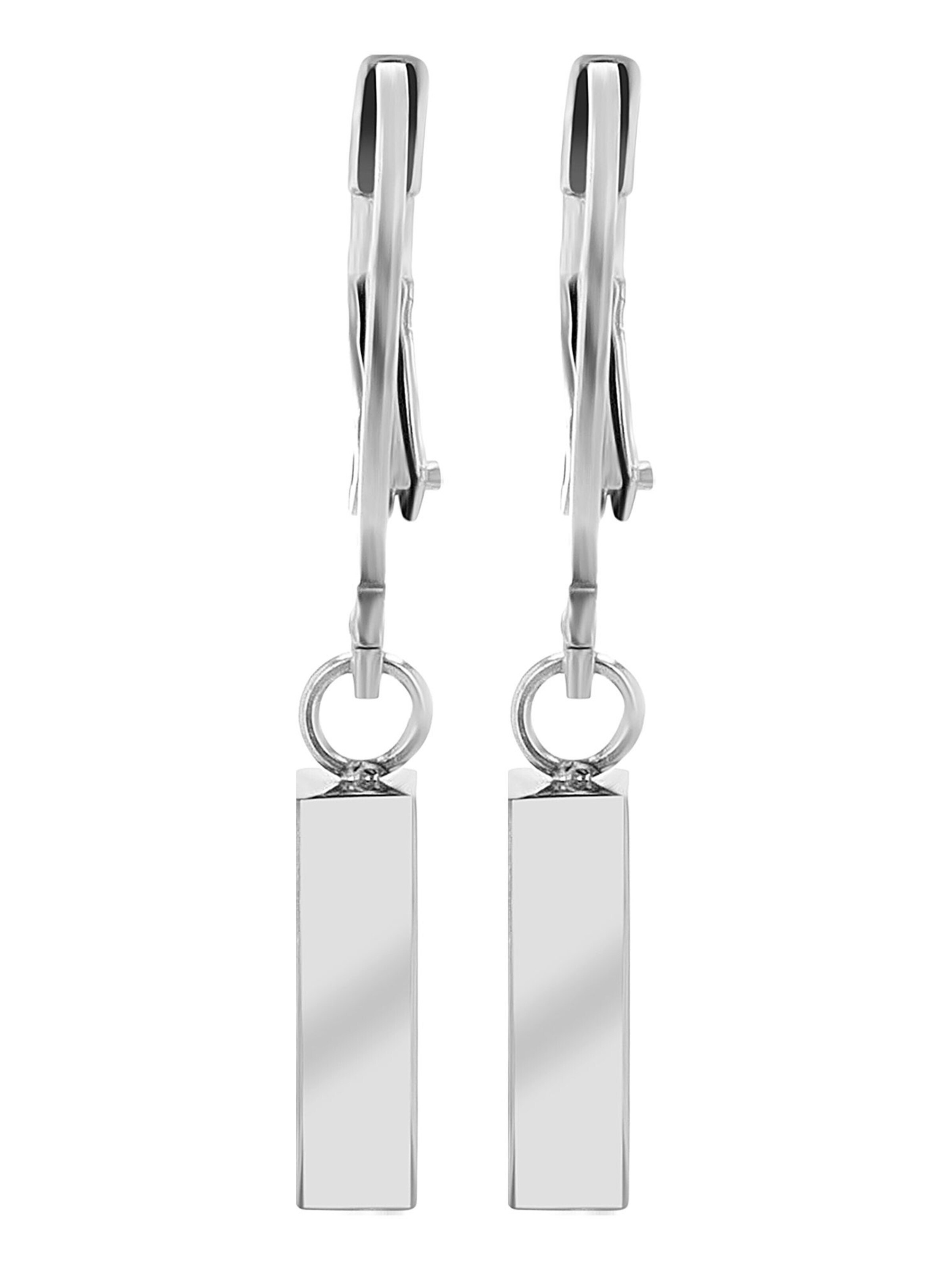 Akzent Earrings 'Fedde, langlebig' in Silver: front
