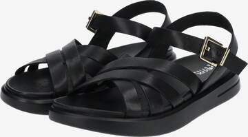 GEOX Strap Sandals in Black