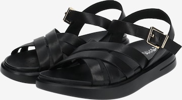 GEOX Sandalen met riem in Zwart