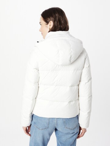 Calvin Klein Jeans Winter Jacket in White