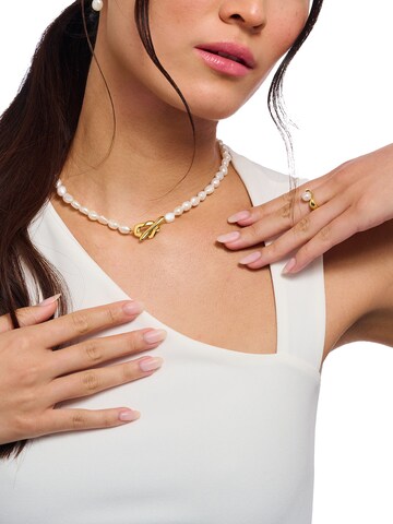 Thomas Sabo Kette in Gold: Vorderseite
