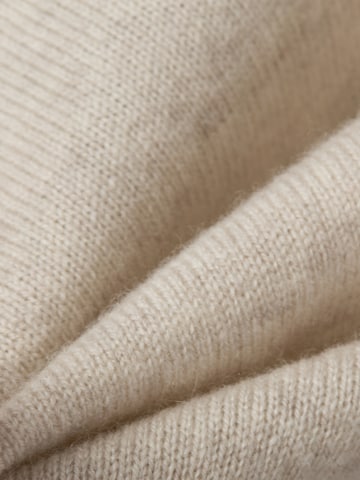FYNCH-HATTON Pullover in Beige