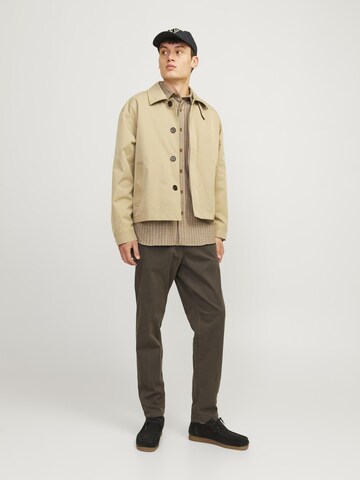 Effilé Pantalon chino 'JPSTAce JJHarlow' JACK & JONES en marron