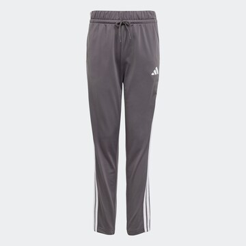 ADIDAS SPORTSWEAR Set 'Seasonal Essentials Tiberio' in Gold