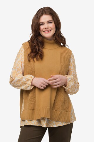 Ulla Popken Pullover (GOTS) in Gelb: predná strana