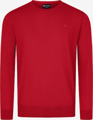 GIESSWEIN Pullover in Rot: predná strana
