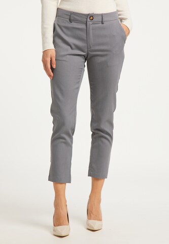 usha BLACK LABEL Regular Pants in Grey: front