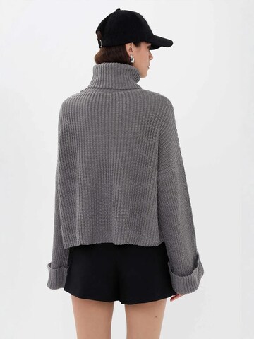 Pullover di Hiccup in grigio