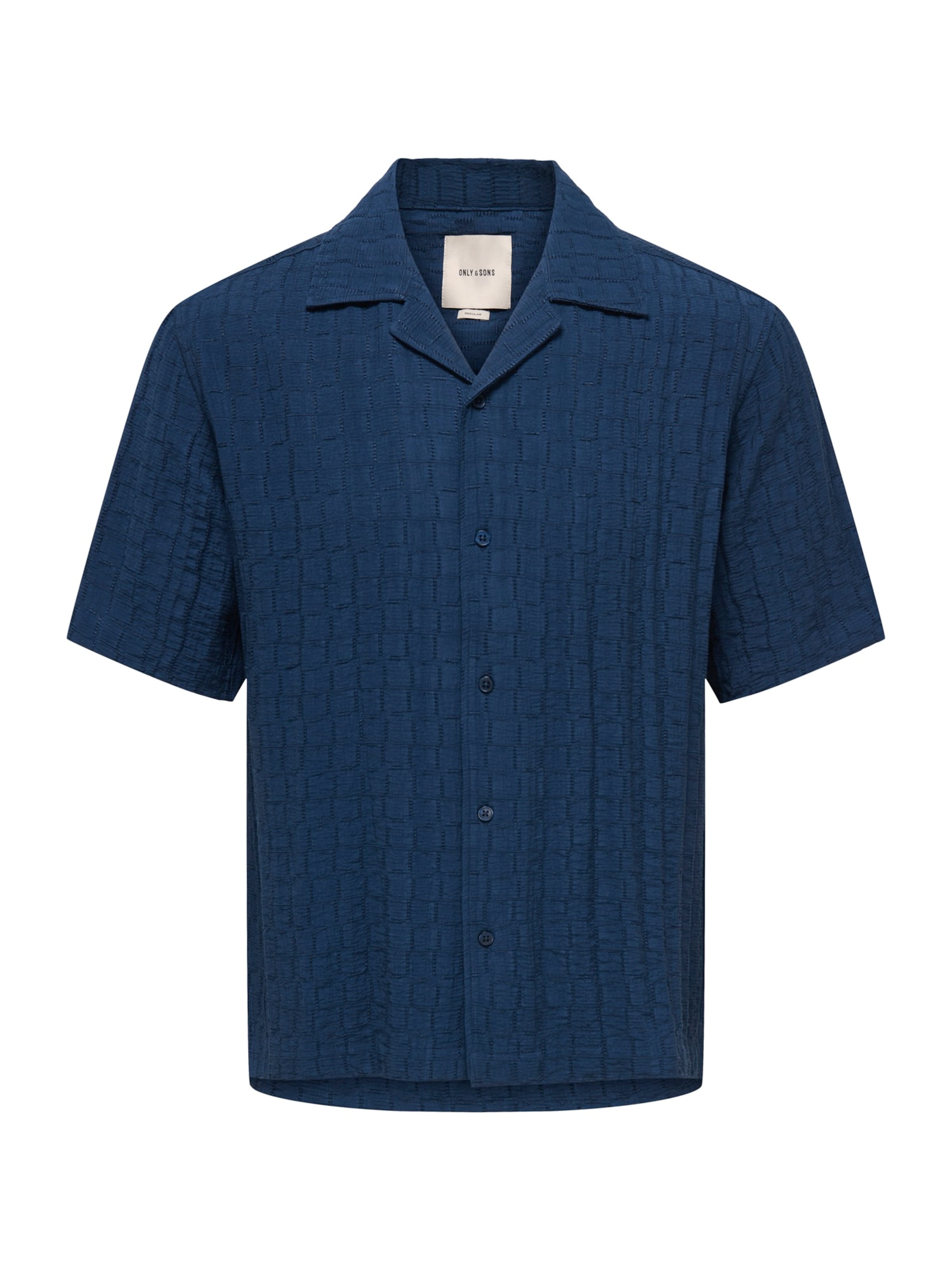 Only & Sons Regular Fit Hemd 'ONSCARTER' in Blau: Vorderseite