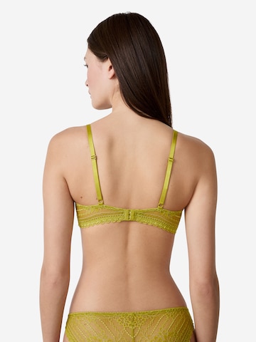 ETAM Balconette BH in Grün