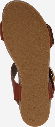 Ca'Shott Sandals in Brown