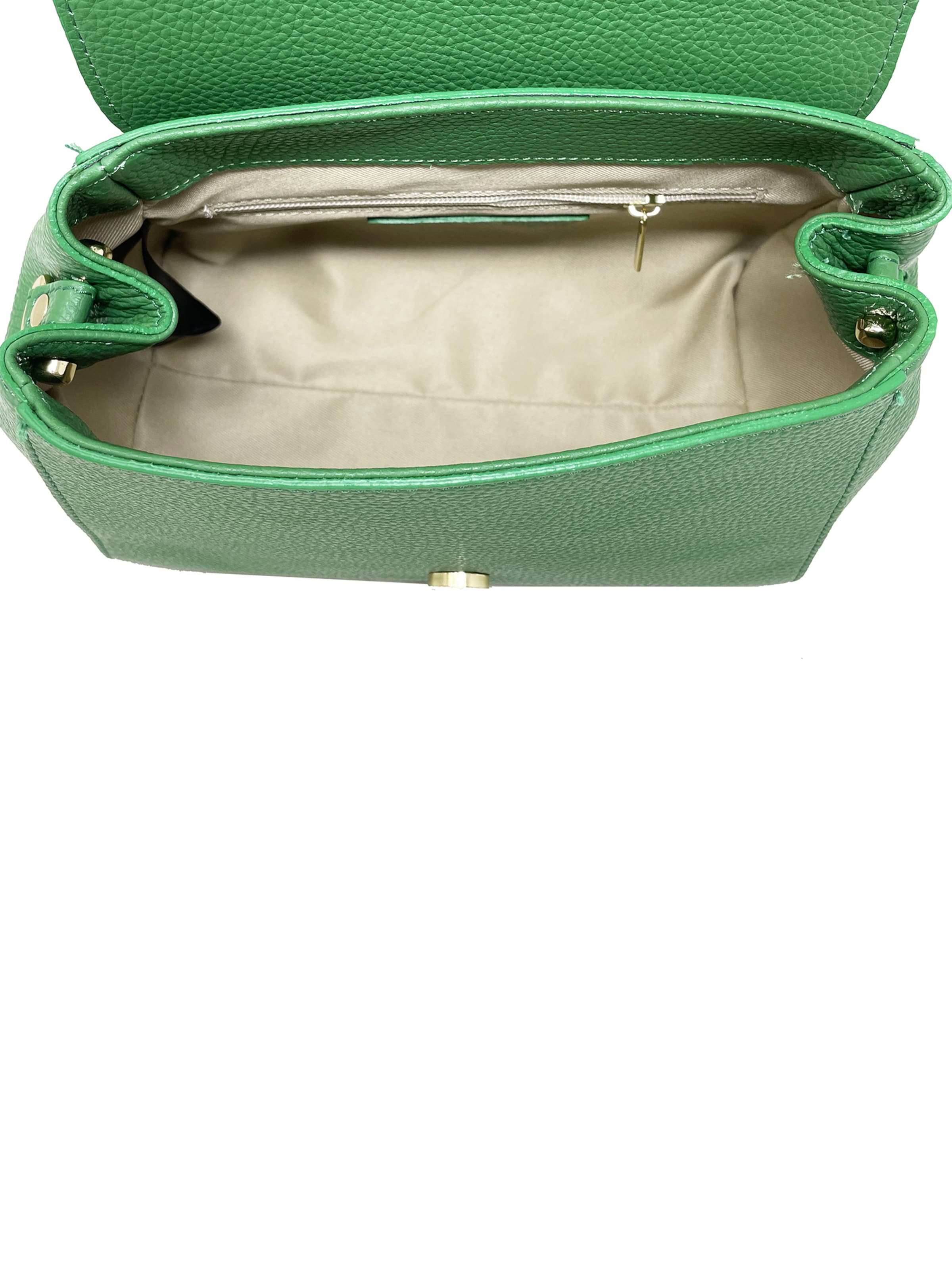 CHICCA BORSE Handbag in Green