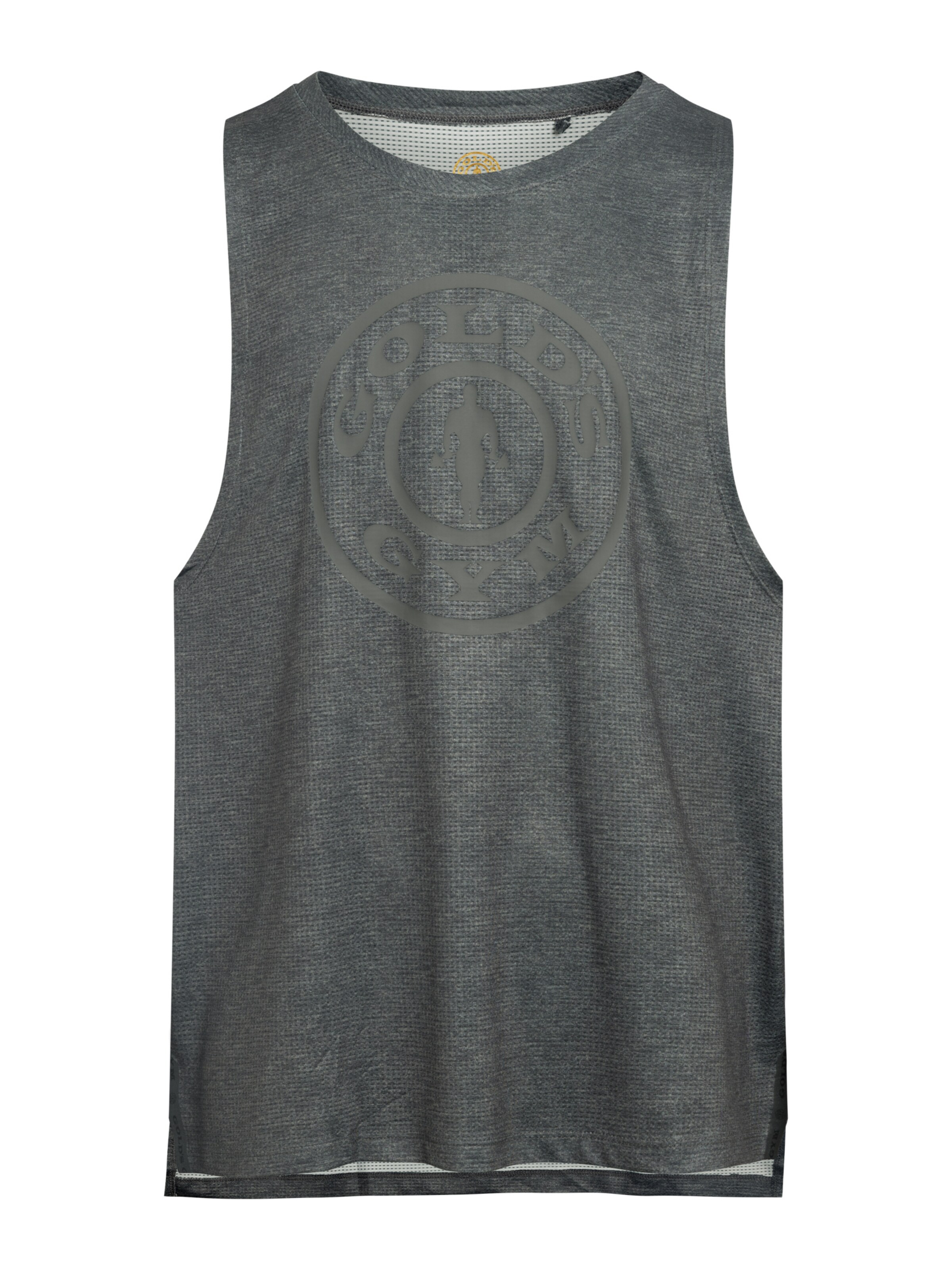 GOLD´S GYM APPAREL Bluser & t-shirts 'PIERCE' i grå: forside