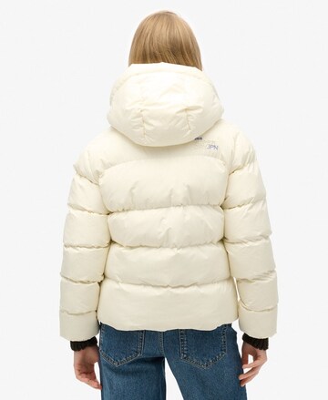 Superdry Winter jacket in Beige