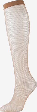 camano Fine Stockings in Brown: front