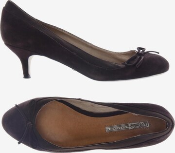 Buffalo London High Heels & Pumps in 39 in Brown: front
