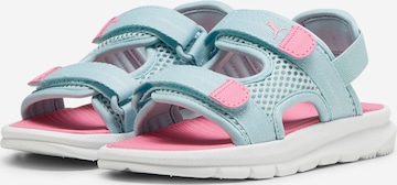 PUMA Beach & swim shoe 'Evolve' in Blue