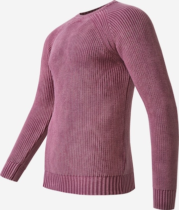 Rusty Neal Sweater in Pink