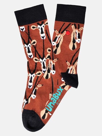Chaussettes ' GRUMBLE IN THE JUNGLE ' UNABUX en marron