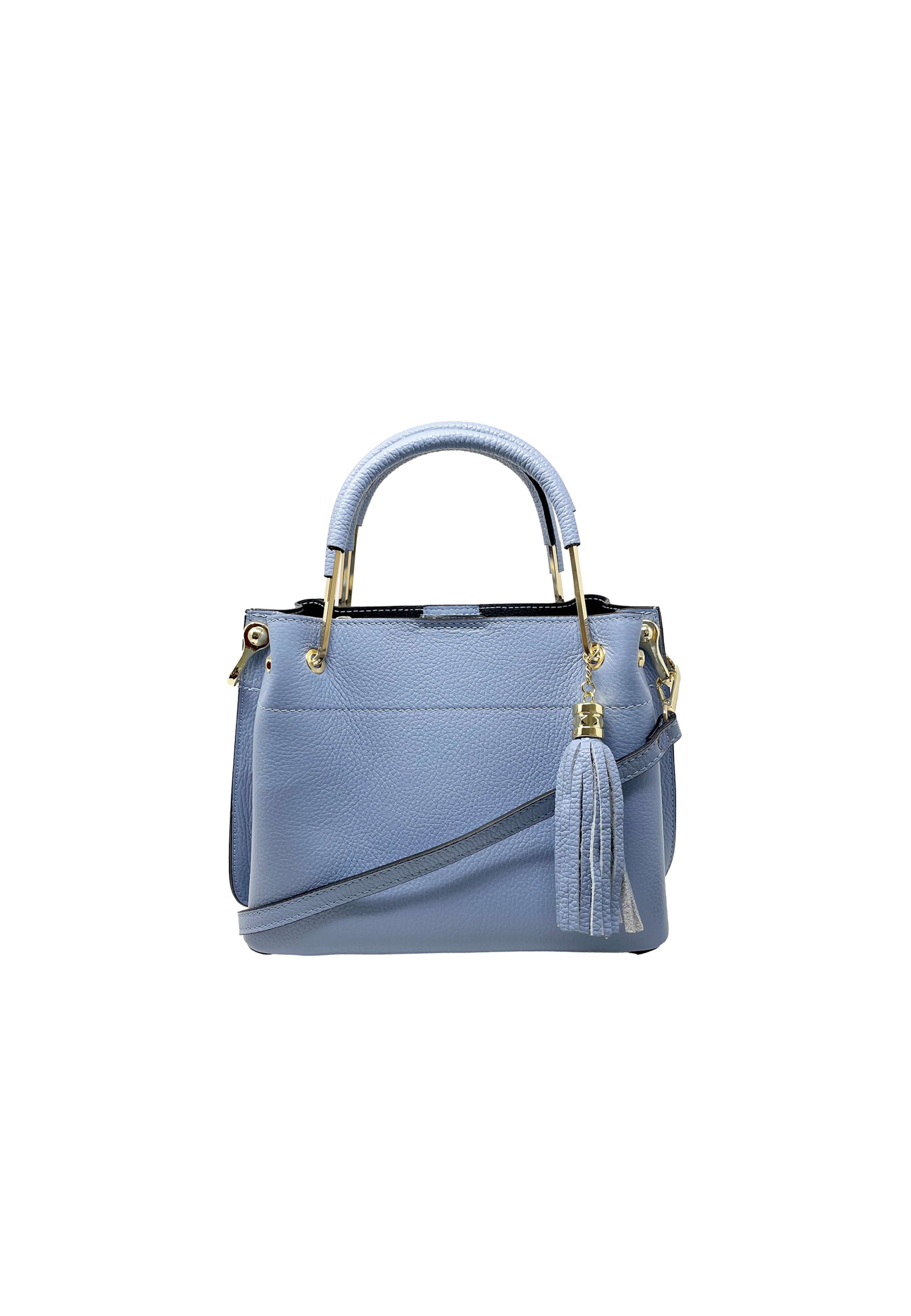CHICCA BORSE Handbag in Blue: front