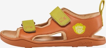 Affenzahn Sandals 'Sandale Leder Airy' in Brown: front