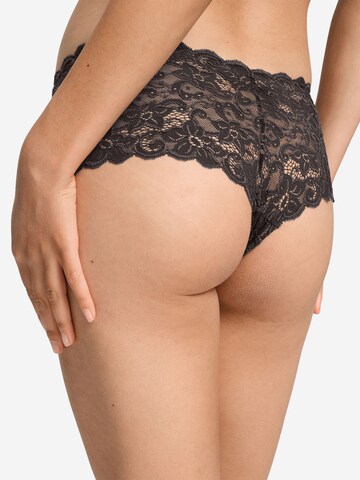 Culotte ' Moments ' Hanro en marron