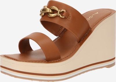 ALDO Sandal 'LAVISTA' in Brown / Gold, Item view