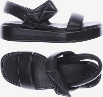 INUOVO Sandals & High-Heeled Sandals in 38 in Black: front