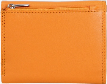 Sergio Valentini Wallet in Yellow: front