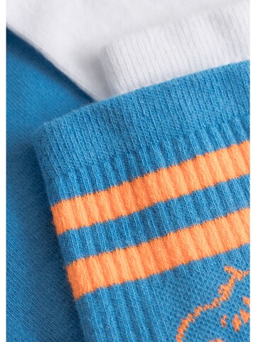 CODELLO Socks in Blue