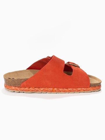 Bayton Mule 'Athena' in Red