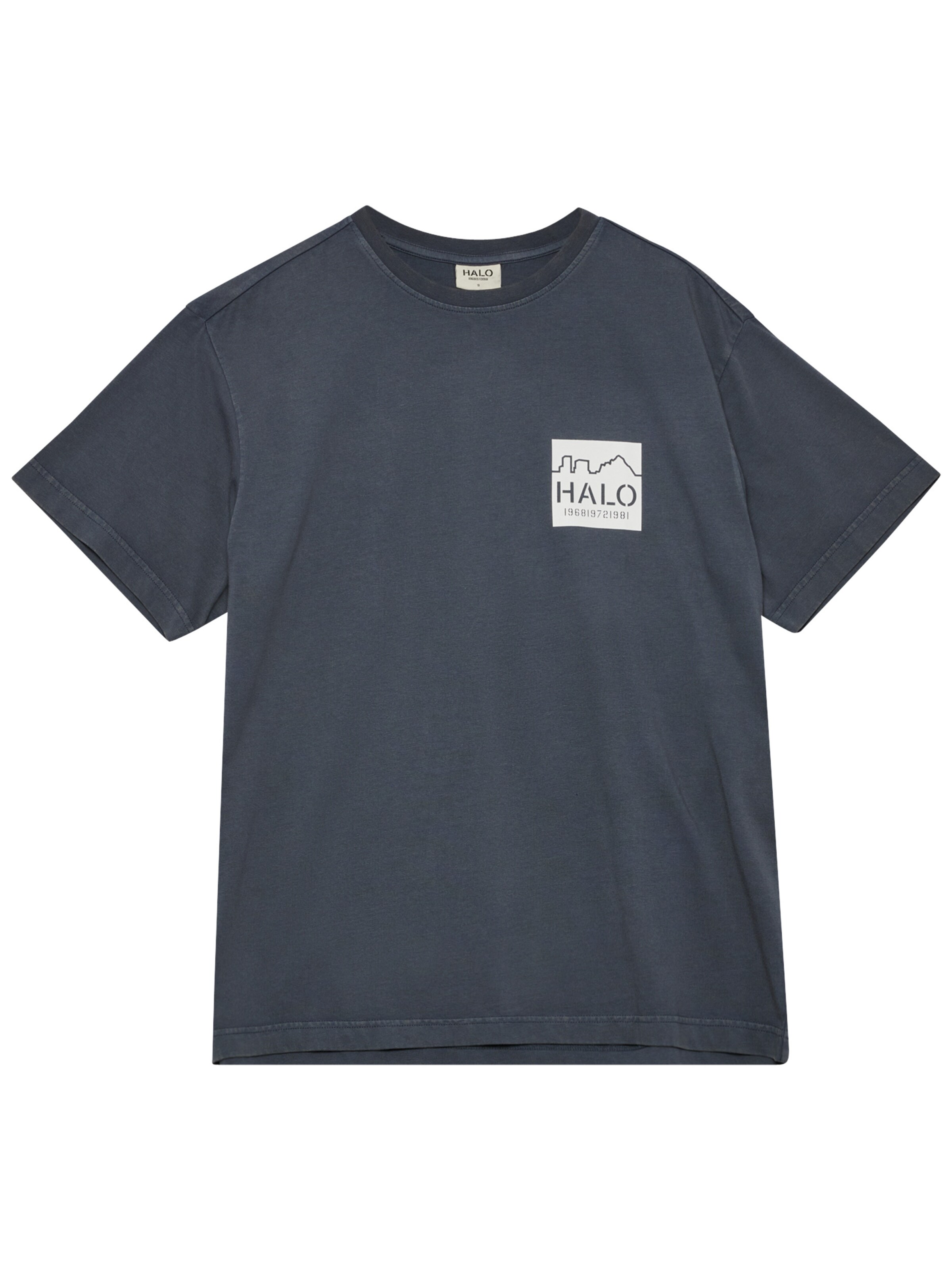 HALO Shirt in Grijs: voorkant