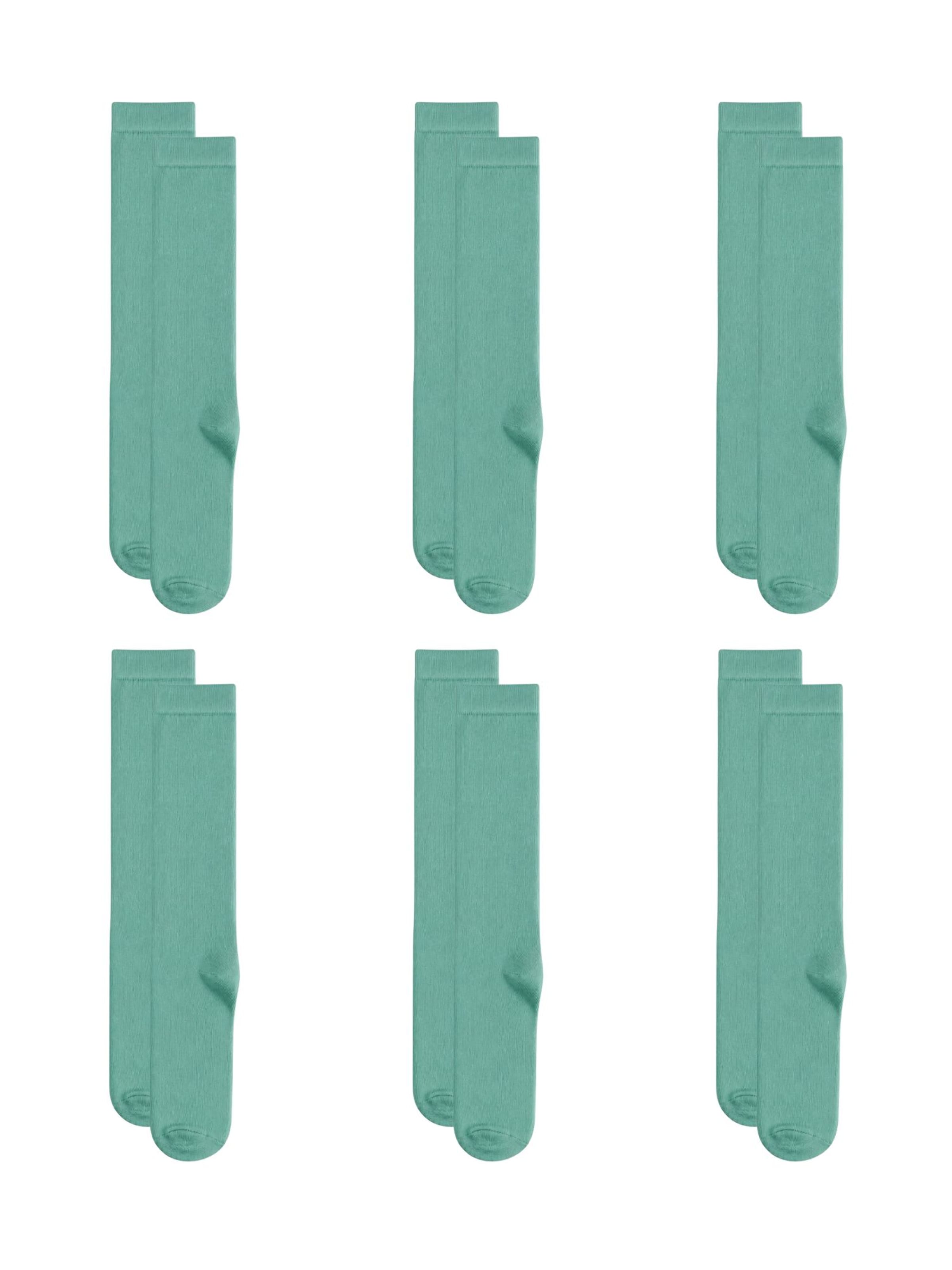 Albero Natur Socks 'Bio-Baumwoll-Kinderkniestrümpfe – 6er Pack' in Green: front