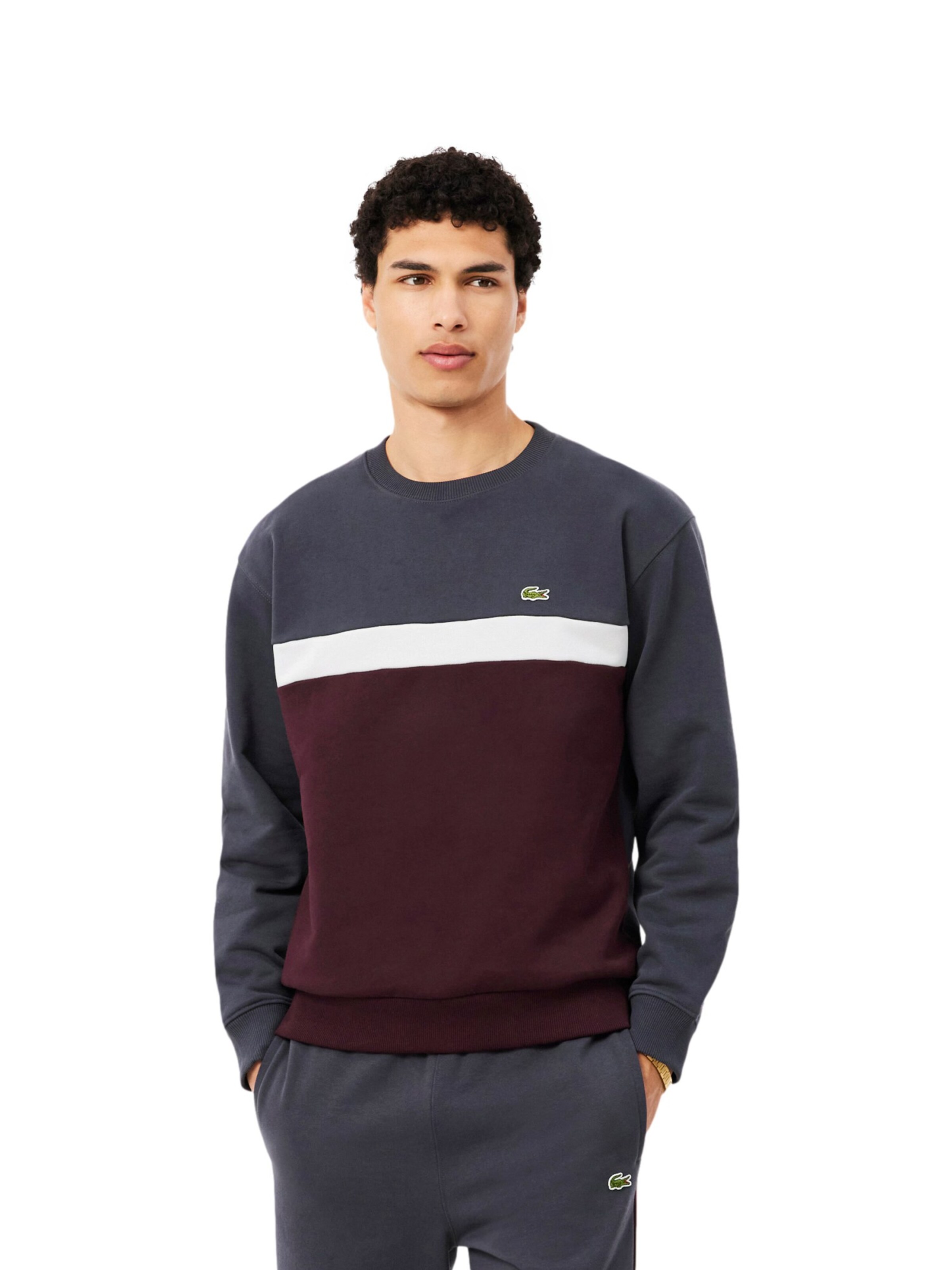 Felpa di LACOSTE in grigio: frontale
