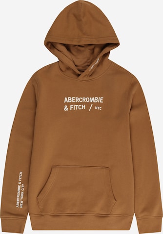 Abercrombie & Fitch Sweatshirt in Brown: front