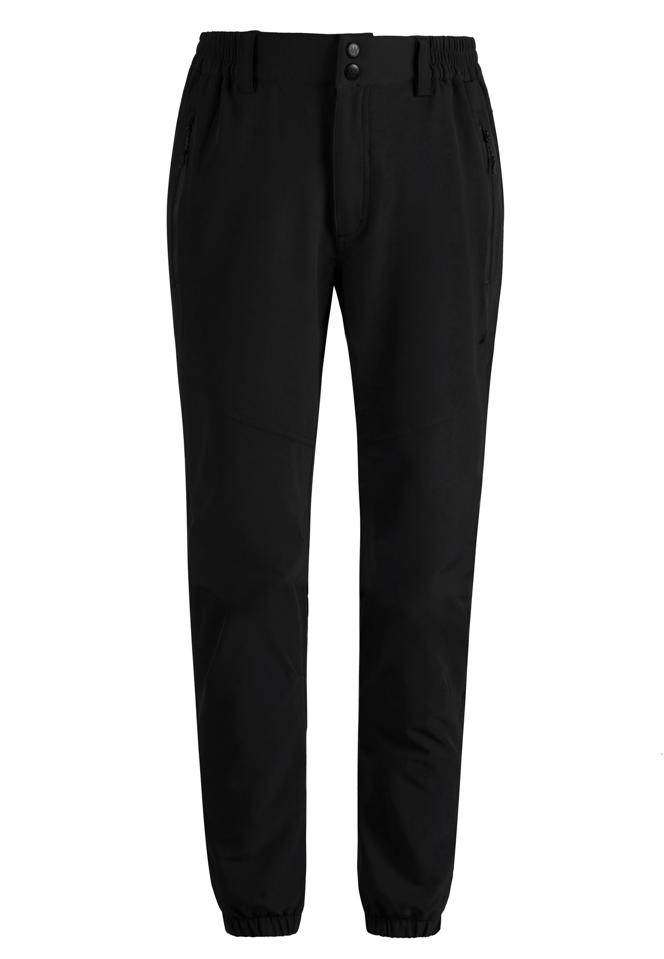 Whistler Regular Outdoor trousers 'ALON' in Black: front