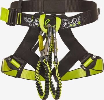 Edelrid Climbing Protection 'J-Star' in Green: front