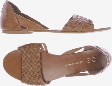 COX Sandals & High-Heeled Sandals in 40 in Brown: front