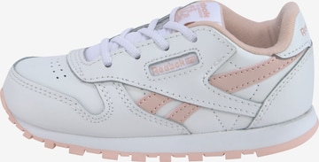 Reebok Sneakers in White