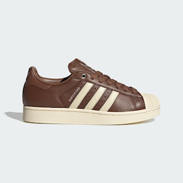Baskets basses 'Superstar II' ADIDAS ORIGINALS en marron