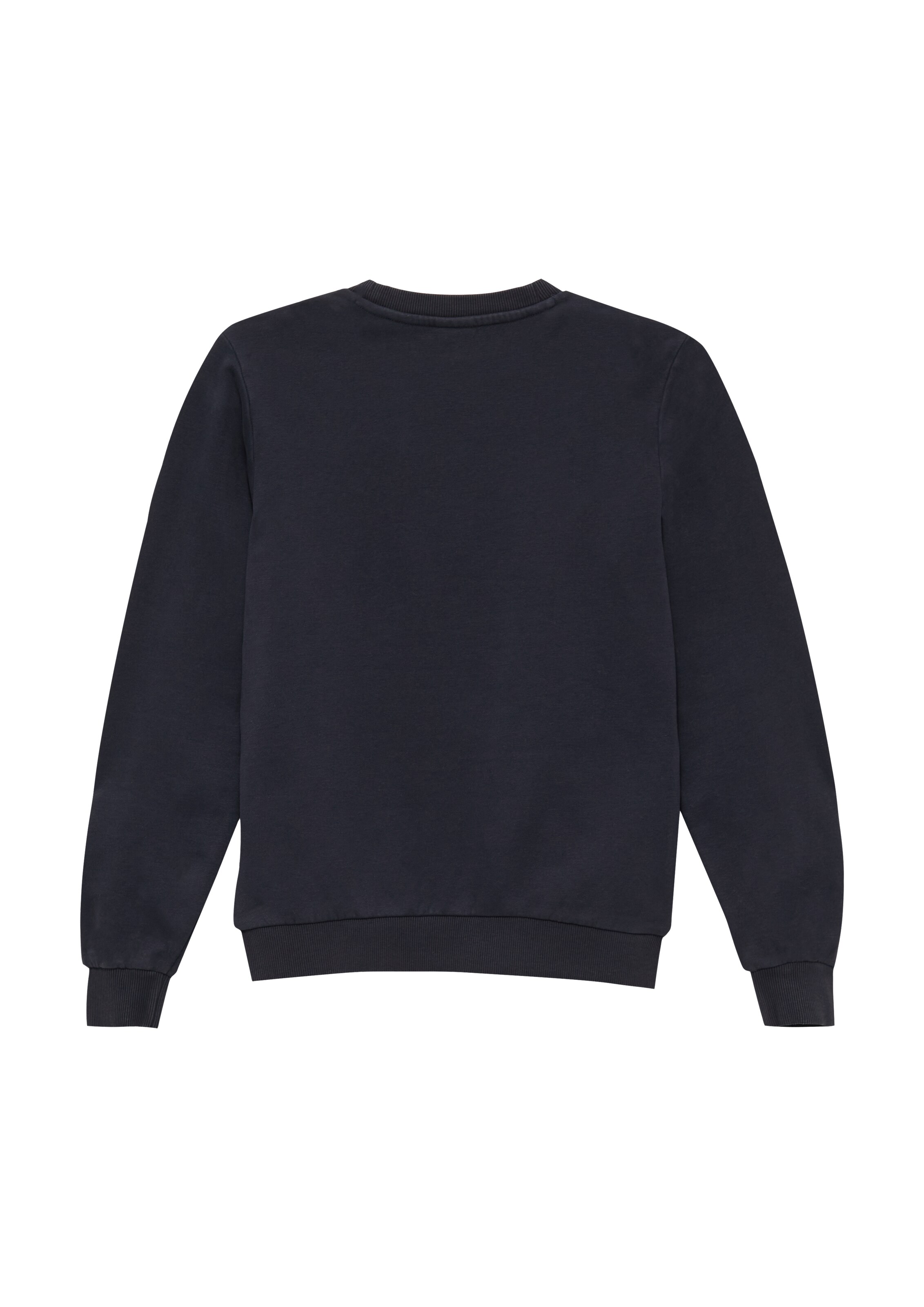 s.Oliver Sweatshirt in Blue